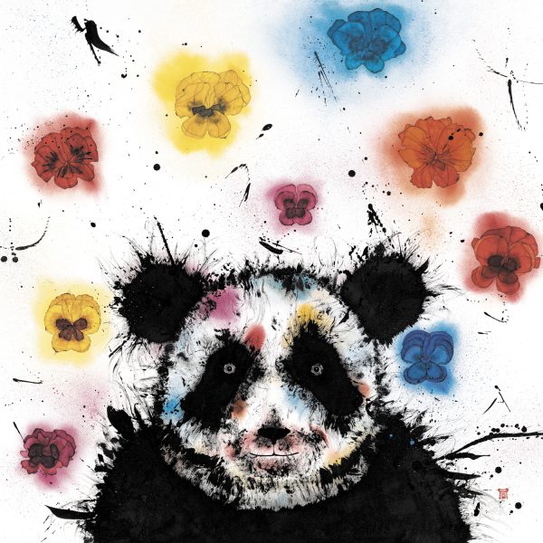 KD 1003 Panda Ray