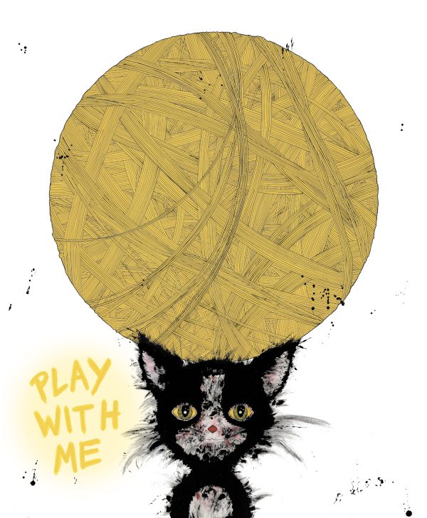 KD 1004 Play with me