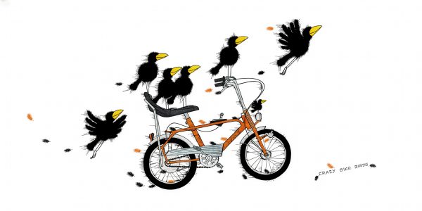 KD-1023-Crazy-Bike-Birds