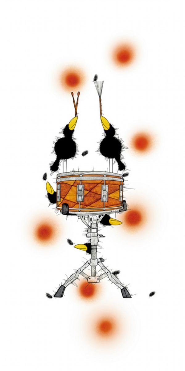 kd-1040-snare-crows_