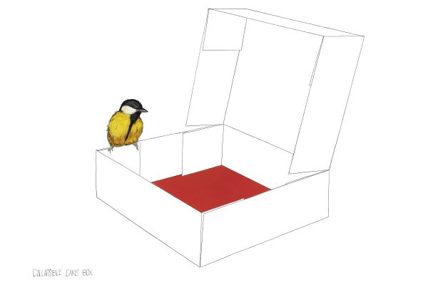 COLLAPSIBLE CAKE BOX