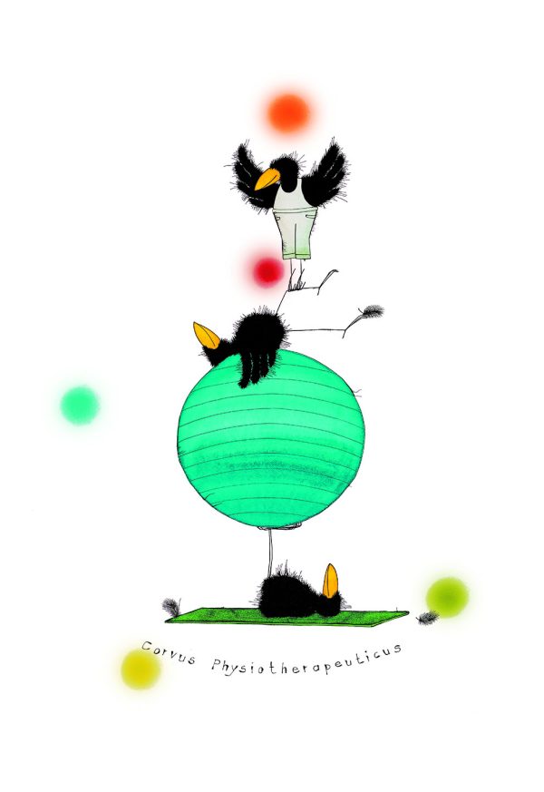 CORVUS PHYSIOTHERAPEUTICUS