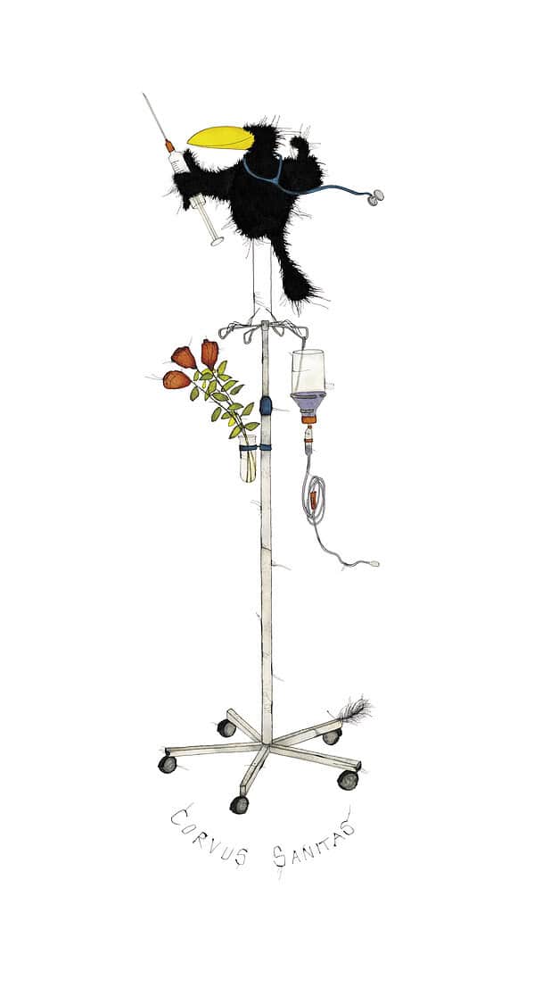 CORVUS SANITAS
