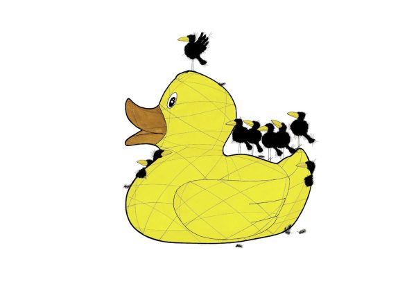 DUCK & CROWS