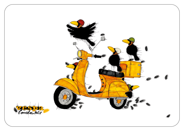 Ferner Vespa Corvidae Solis
