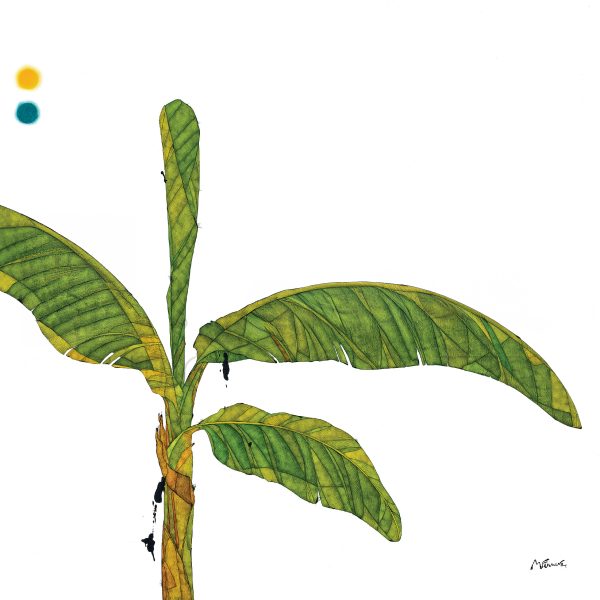 GISI´S BANANENSTAUDE