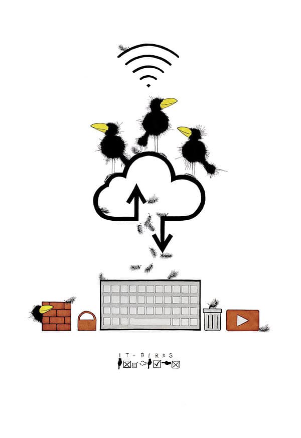 IT BIRDS