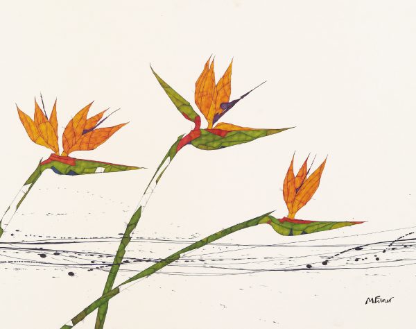PARADIESVOGELBLUMEN
