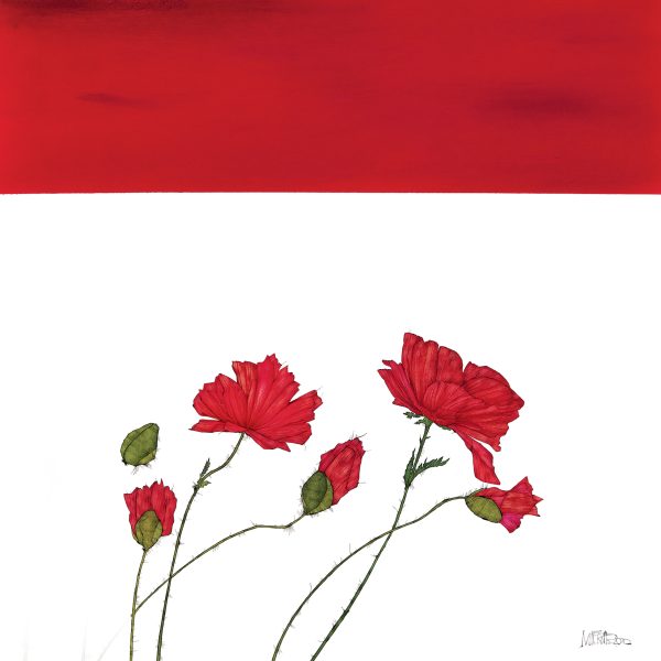 SCHLAFMOHN