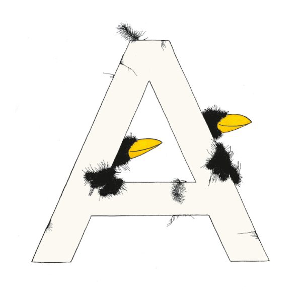 „A“ DAS GROSSE RABENALPHABET