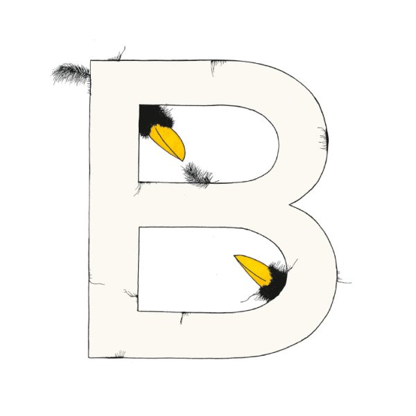 „B“ DAS GROSSE RABENALPHABET