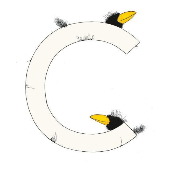 „C“ DAS GROSSE RABENALPHABET