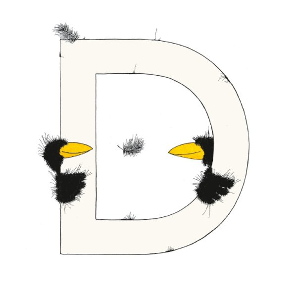 „D“ DAS GROSSE RABENALPHABET