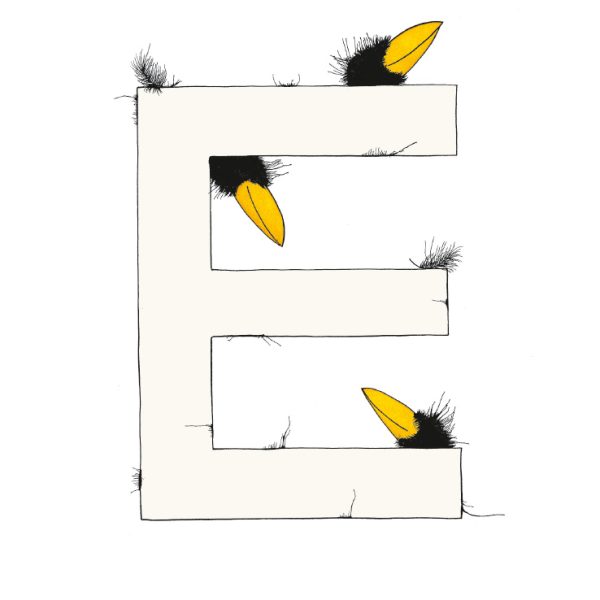„E“ DAS GROSSE RABENALPHABET