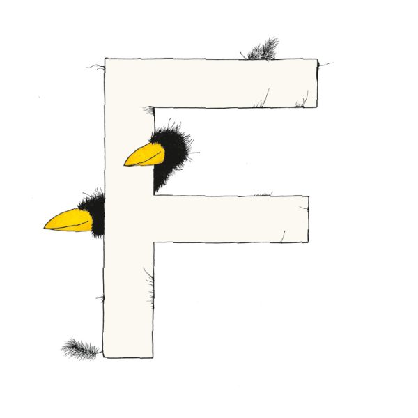 „F“ DAS GROSSE RABENALPHABET
