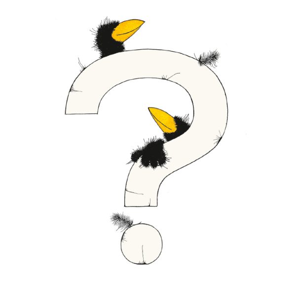 „?“ DAS GROSSE RABENALPHABET