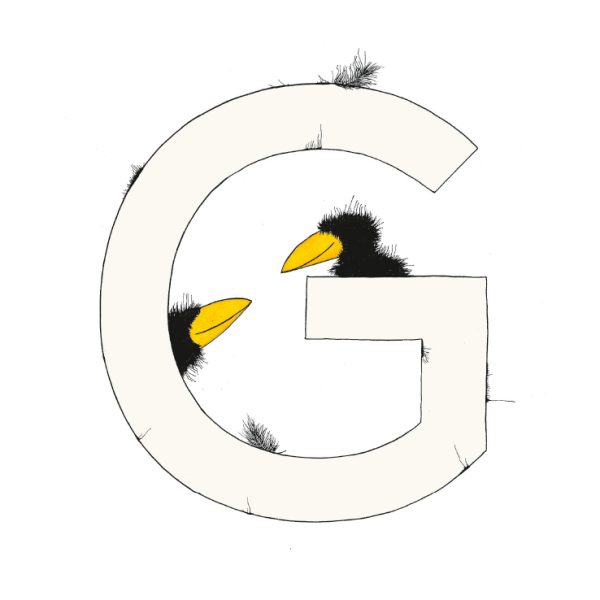 „G“ DAS GROSSE RABENALPHABET