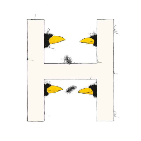 „H“ DAS GROSSE RABENALPHABET
