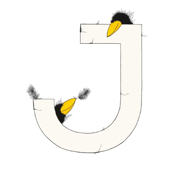 „J“ DAS GROSSE RABENALPHABET