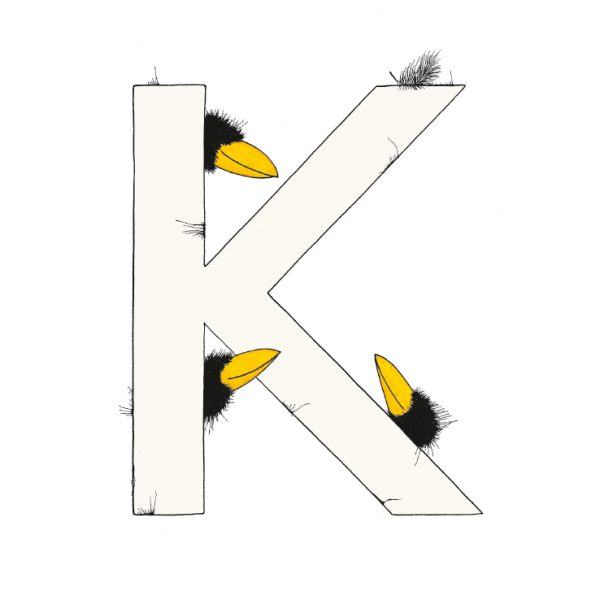 „K“ DAS GROSSE RABENALPHABET