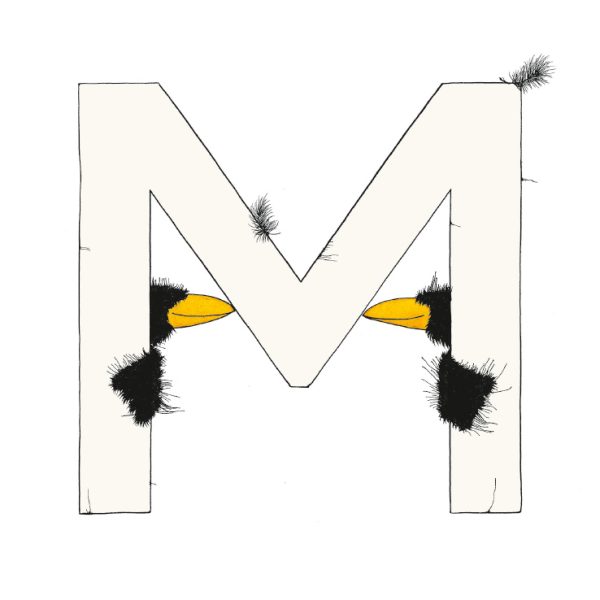 „M“ DAS GROSSE RABENALPHABET