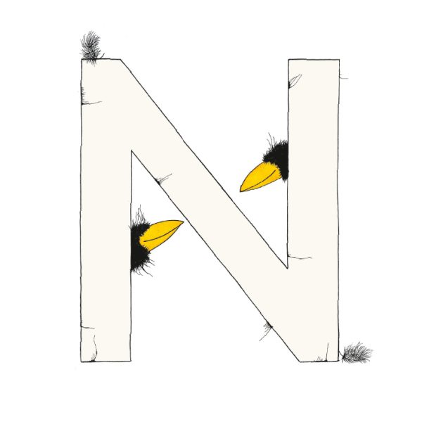 „N“ DAS GROSSE RABENALPHABET