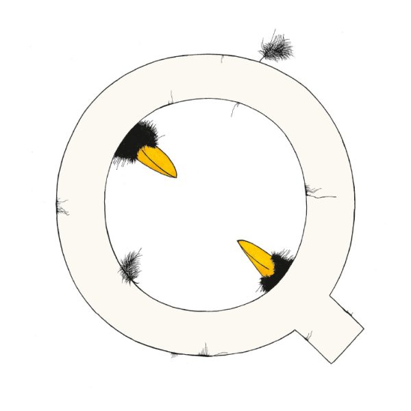 „Q“ DAS GROSSE RABENALPHABET