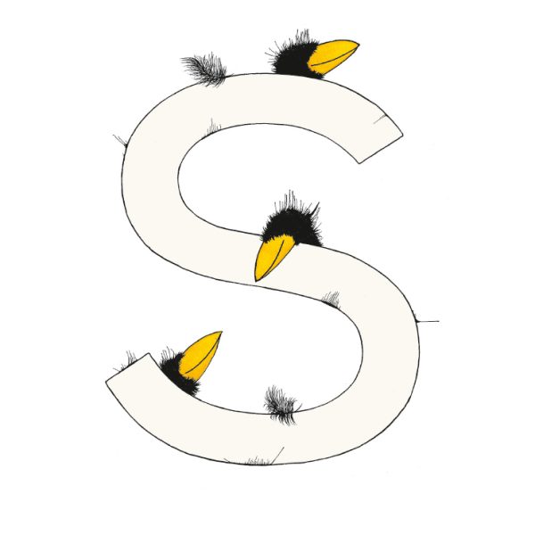 „S“ DAS GROSSE RABENALPHABET