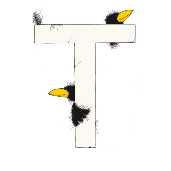 „T“ DAS GROSSE RABENALPHABET