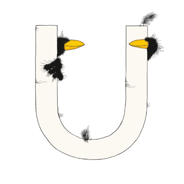 „U“ DAS GROSSE RABENALPHABET
