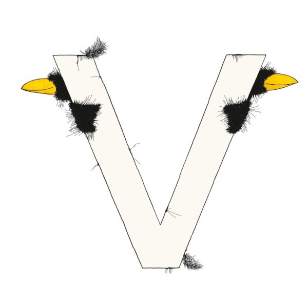 „V“ DAS GROSSE RABENALPHABET