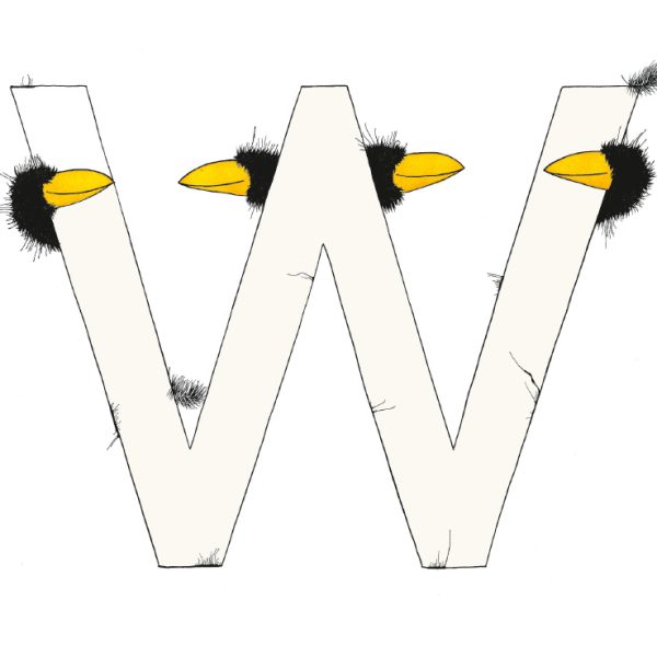 „W“ DAS GROSSE RABENALPHABET