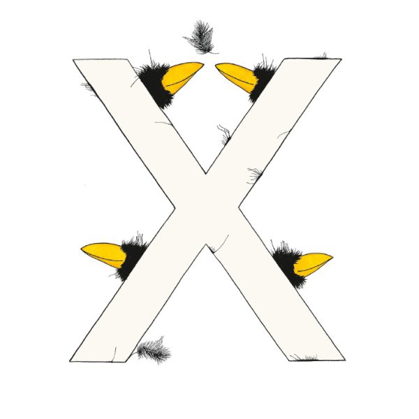 „X“ DAS GROSSE RABENALPHABET