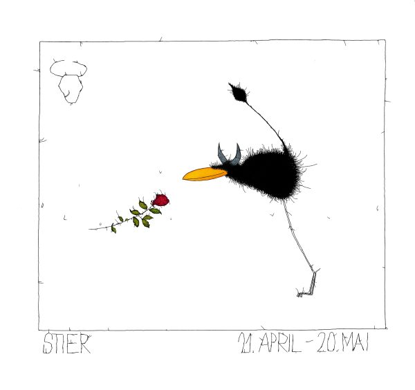 STIER