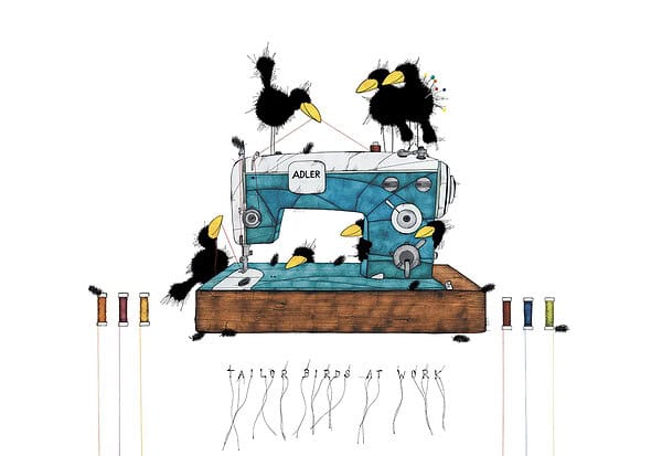 TAILOR BIRDS AT WORK